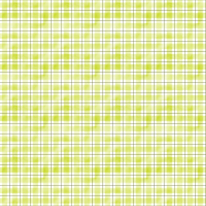 Green and white plaid pattern with intersecting thin blue lines in a repetitive grid design.