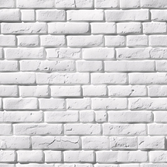 White brick wall with a slightly textured surface and some visible cracks.