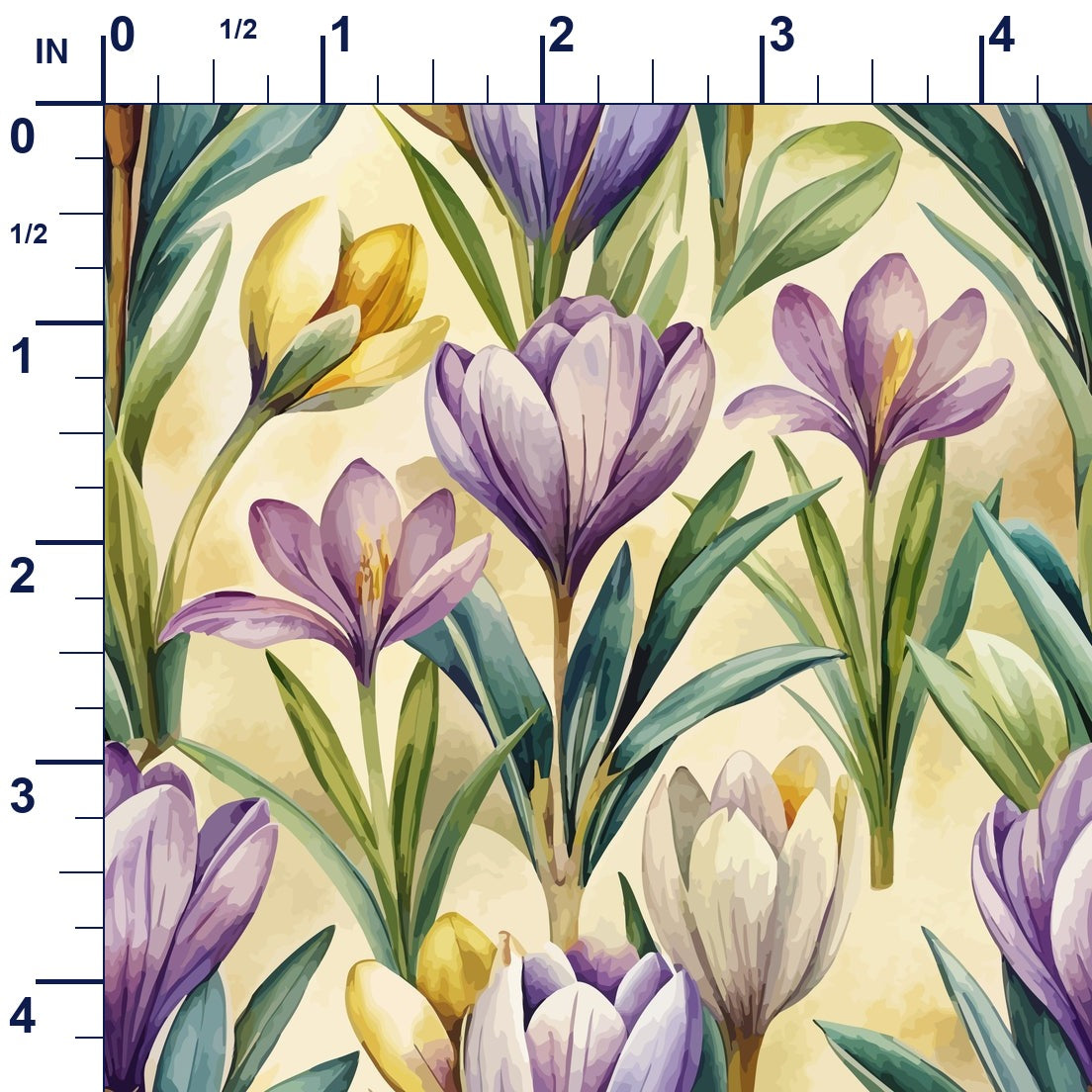 ruler-scale (auto)