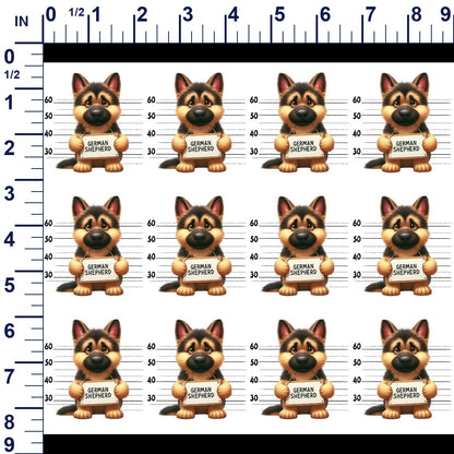 ruler-scale (auto)
