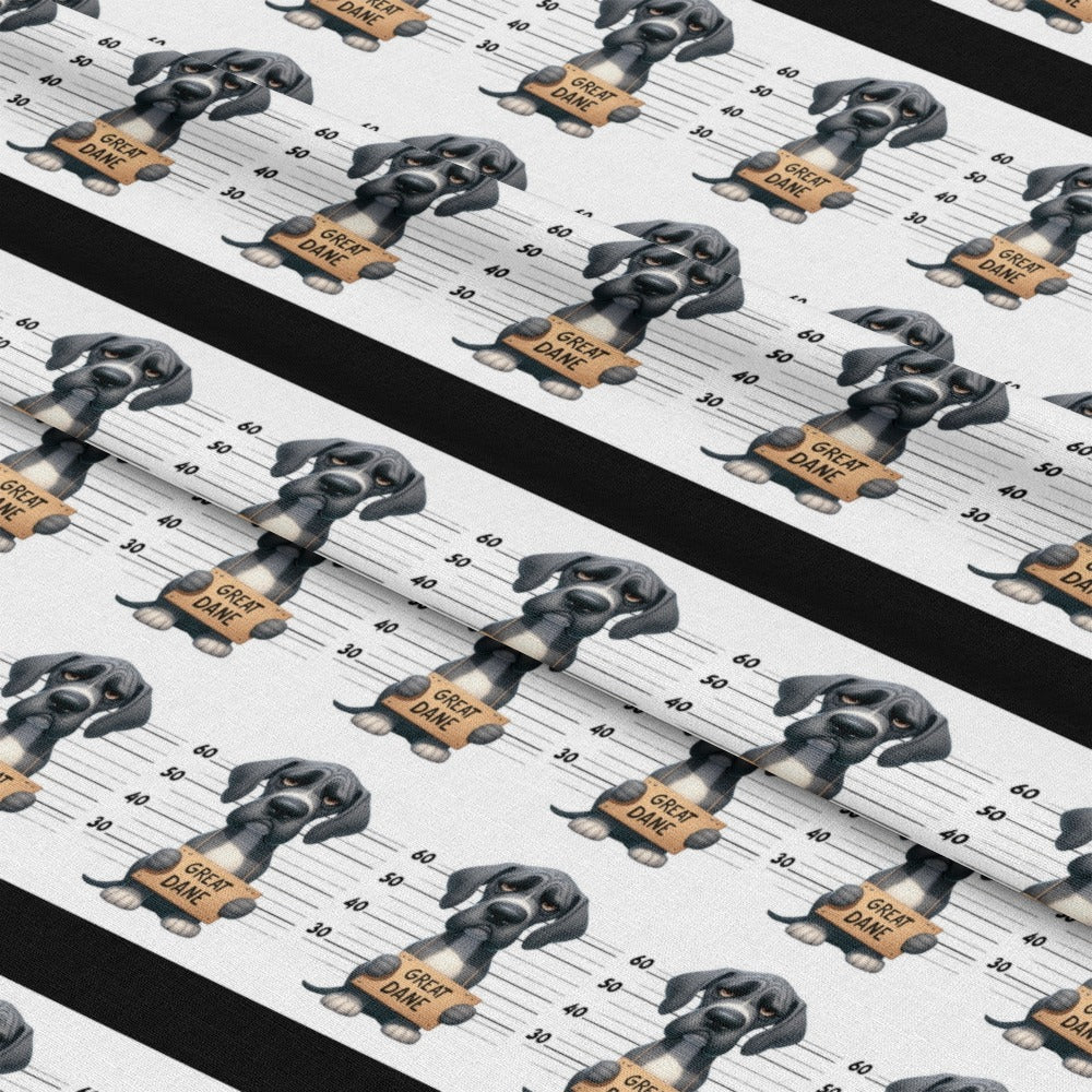 mockup-lying (auto)