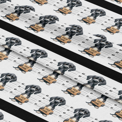mockup-lying (auto)