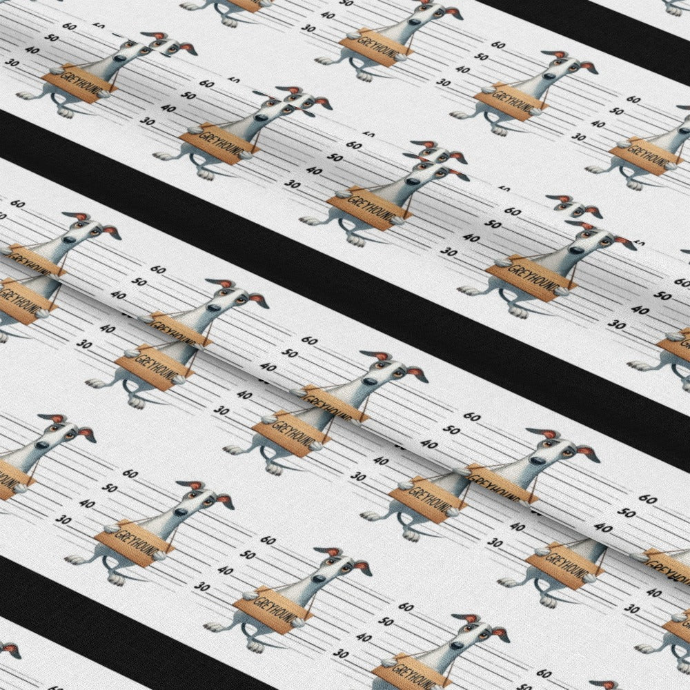 mockup-lying (auto)