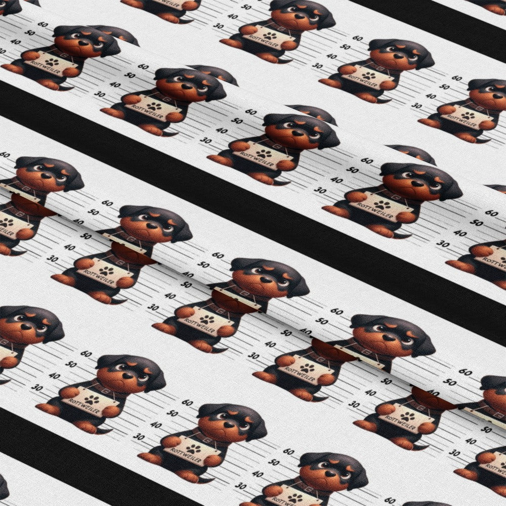mockup-lying (auto)