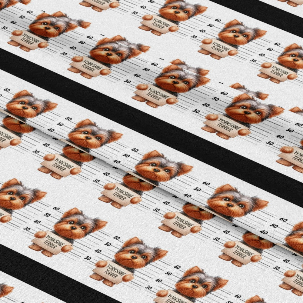 mockup-lying (auto)