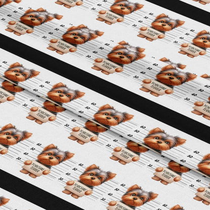 mockup-lying (auto)