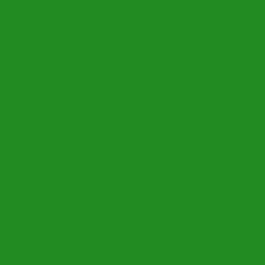 Forest Green Classic Solids Quilting Cotton Fabric