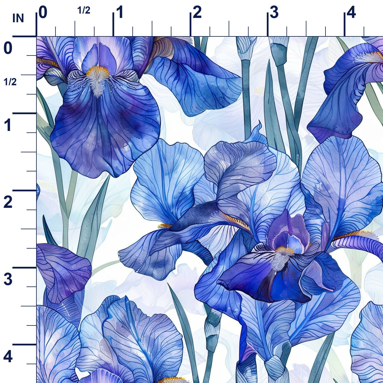ruler-scale (auto)