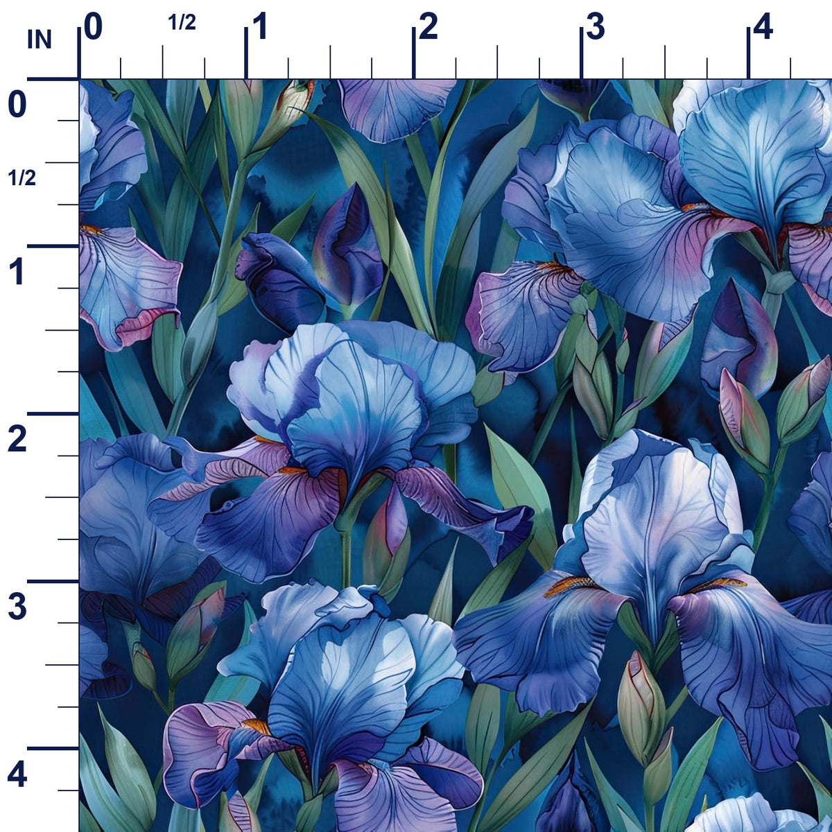ruler-scale (auto)