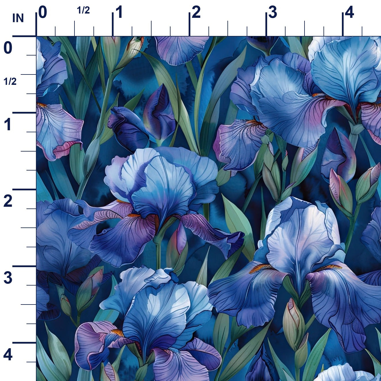 ruler-scale (auto)