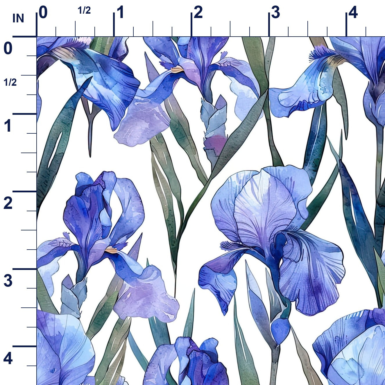 ruler-scale (auto)