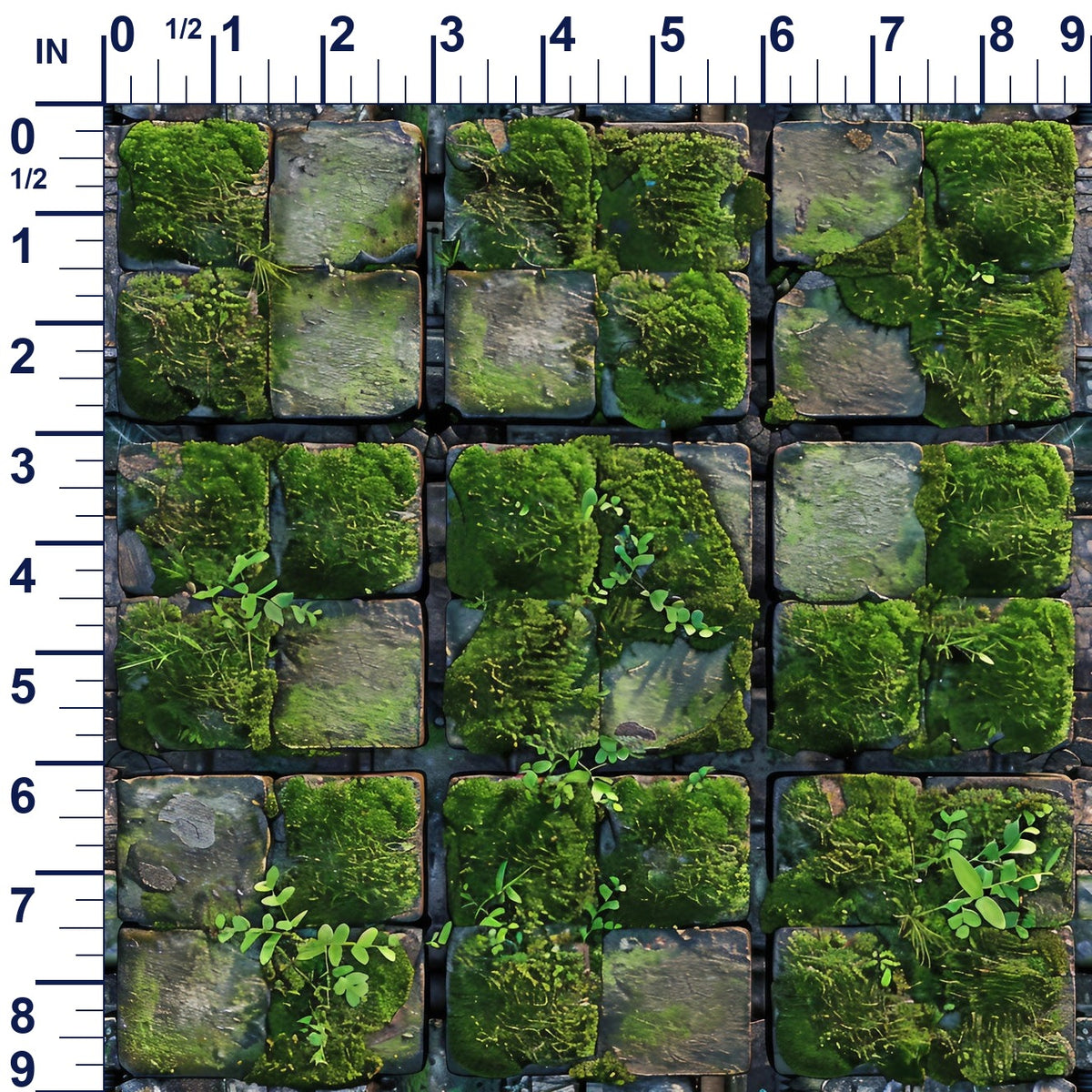 ruler-scale (auto)