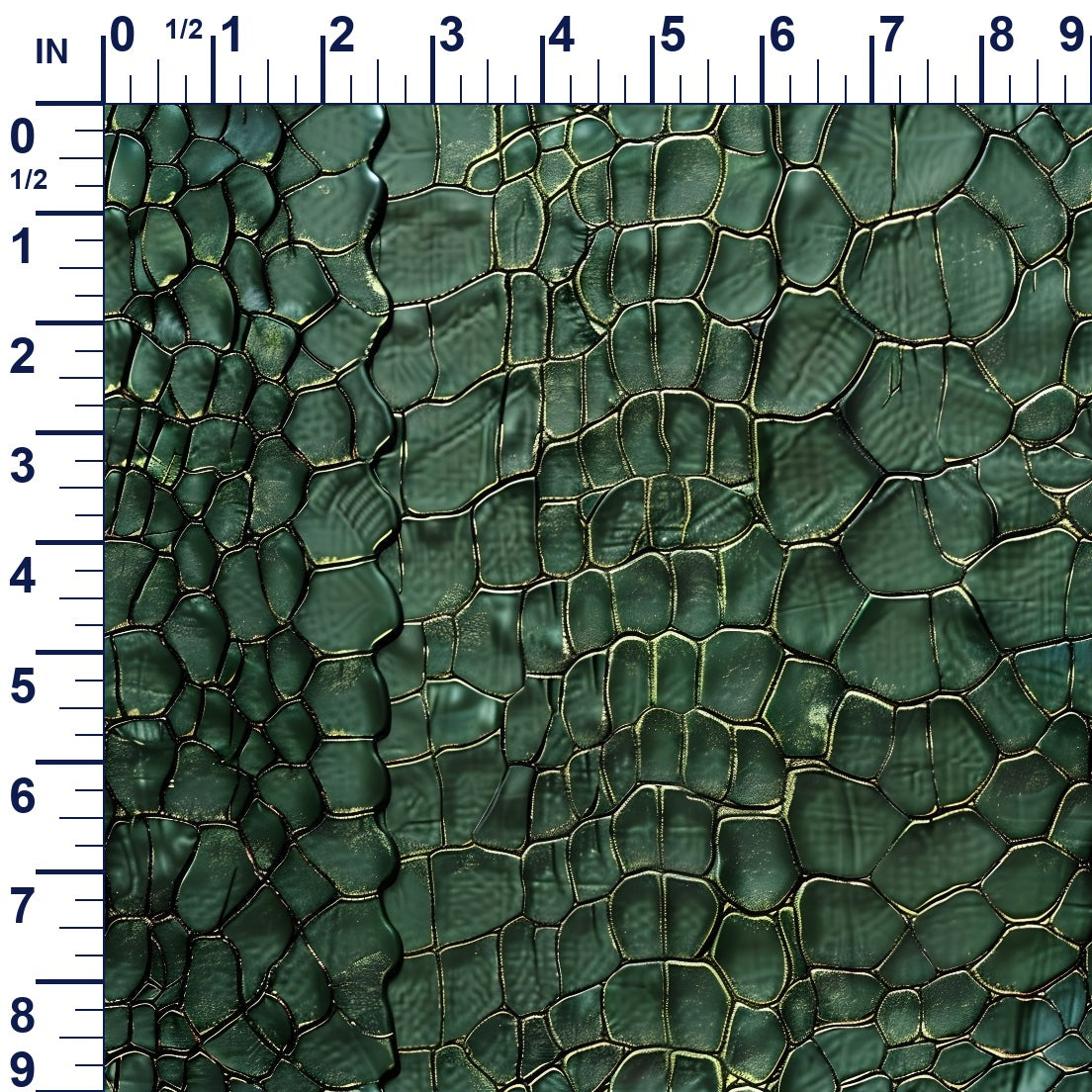 ruler-scale (auto)
