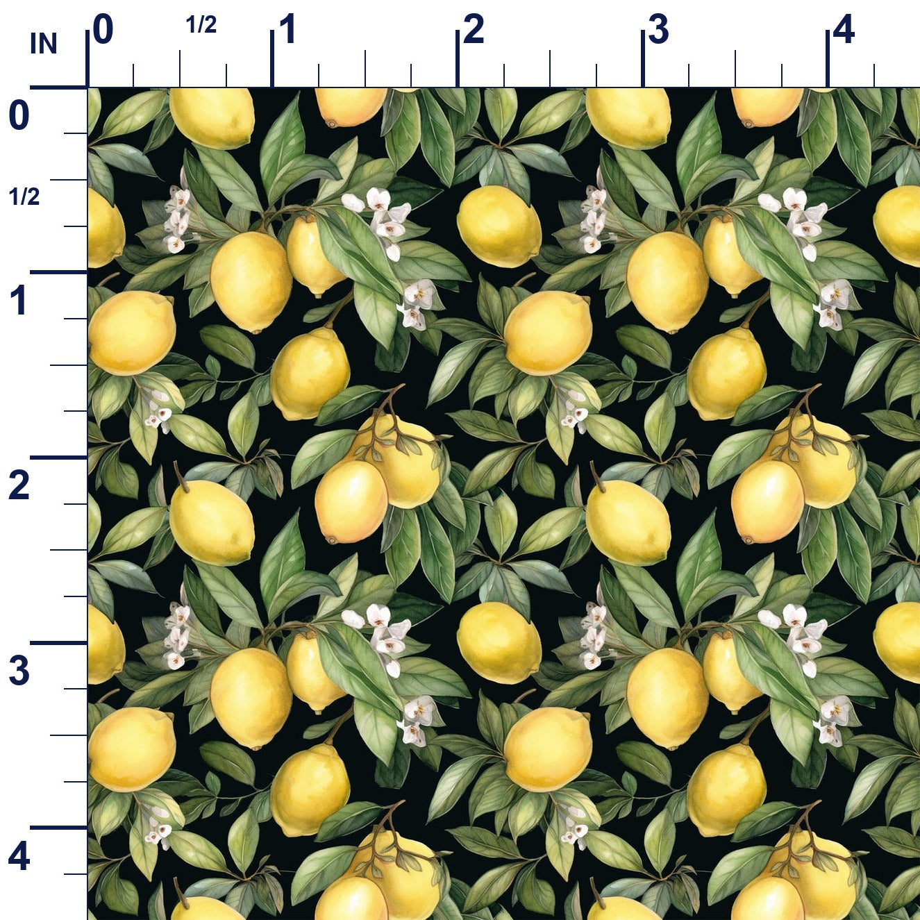 ruler-scale (auto)