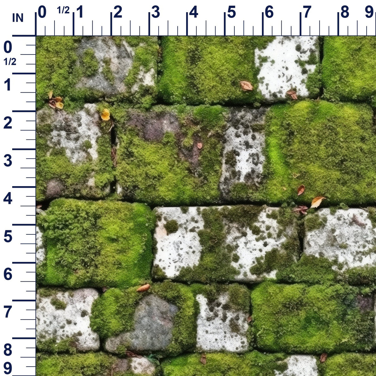 ruler-scale (auto)