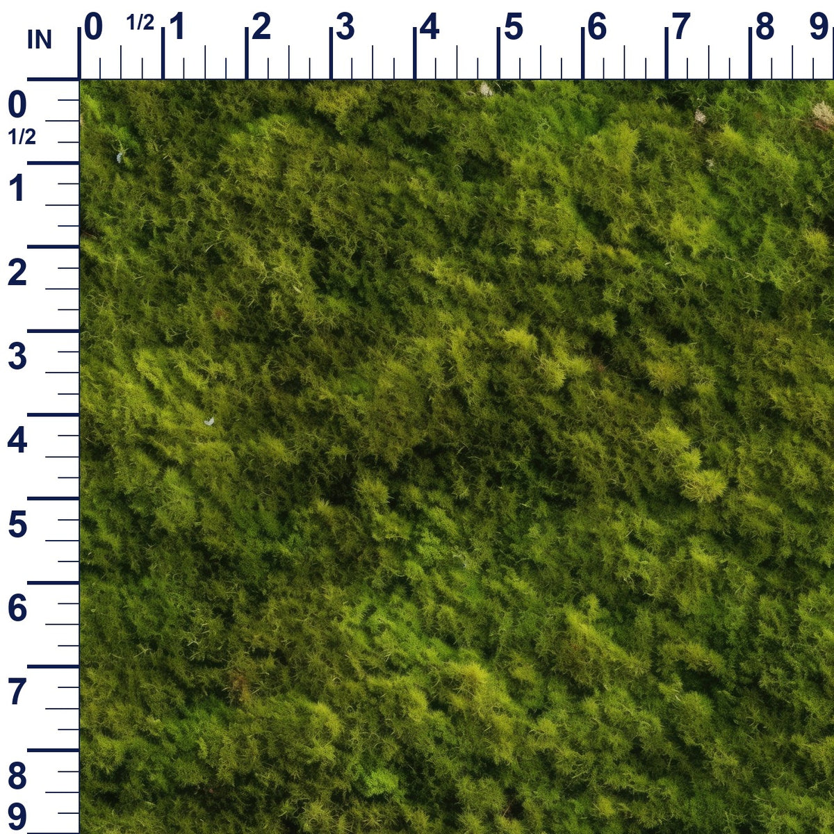 ruler-scale (auto)