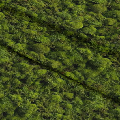 mockup-lying (auto)