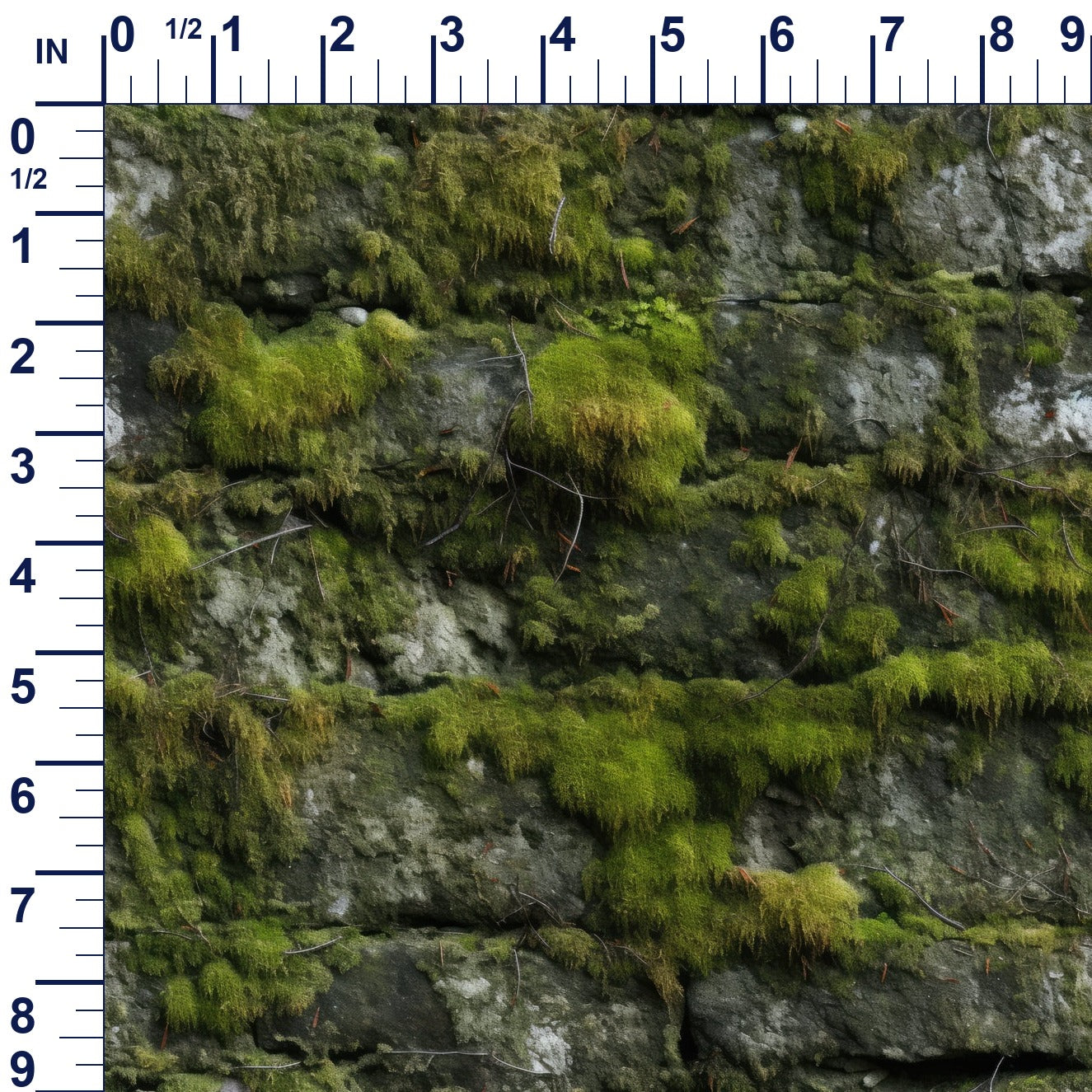 ruler-scale (auto)