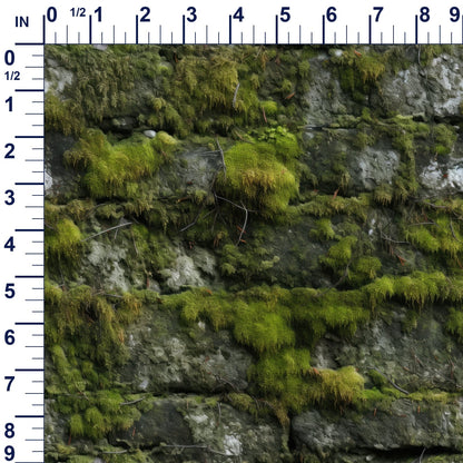 ruler-scale (auto)