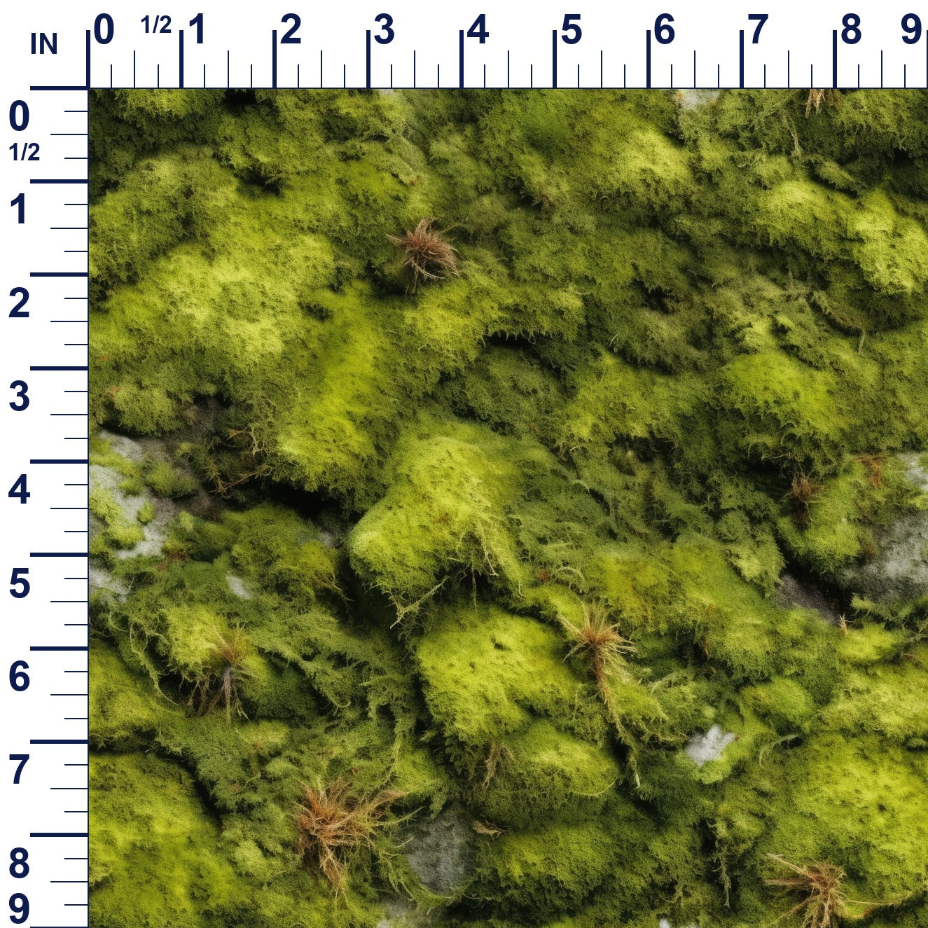 ruler-scale (auto)