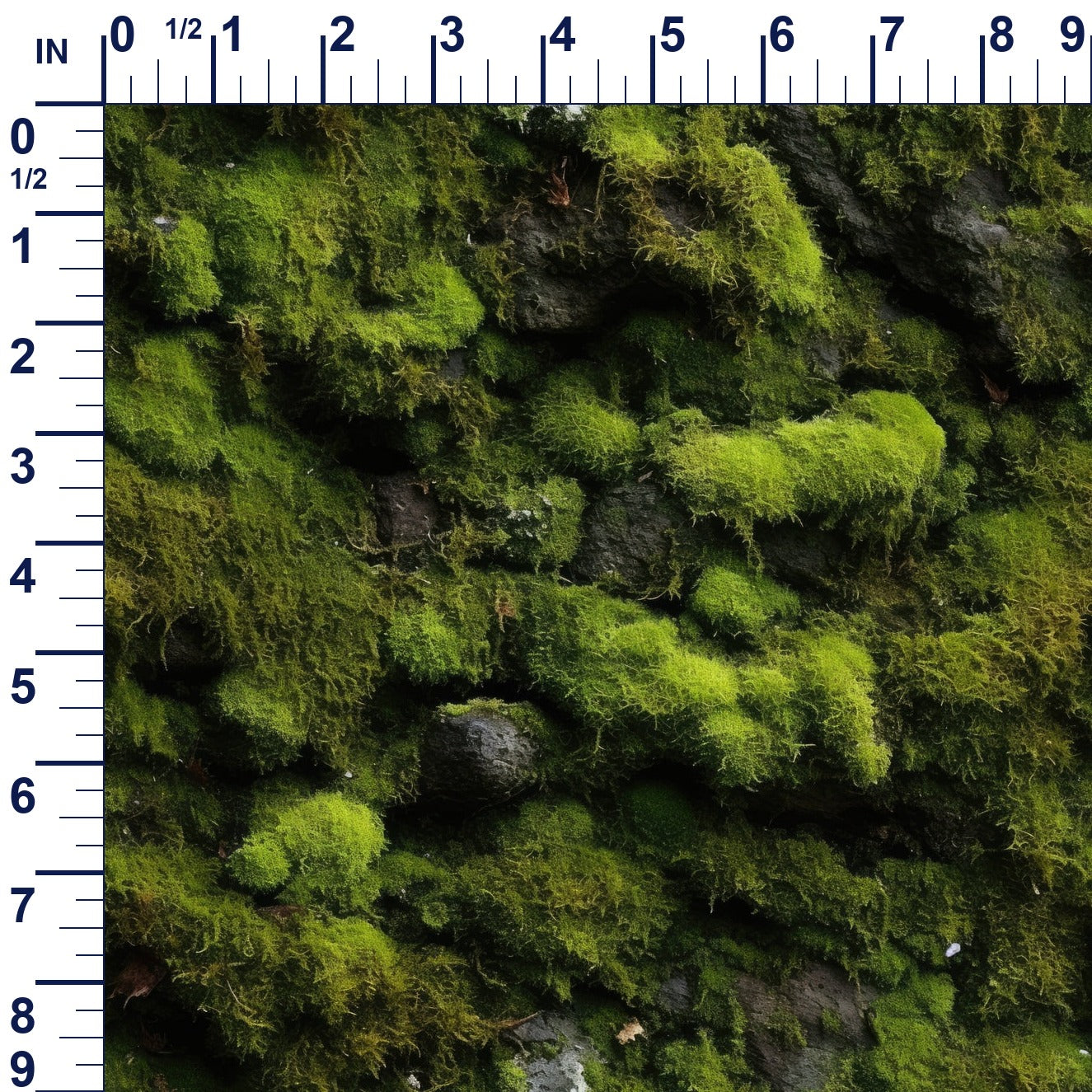 ruler-scale (auto)