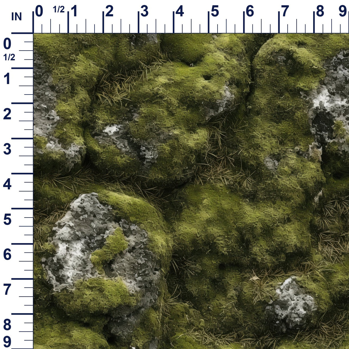 ruler-scale (auto)