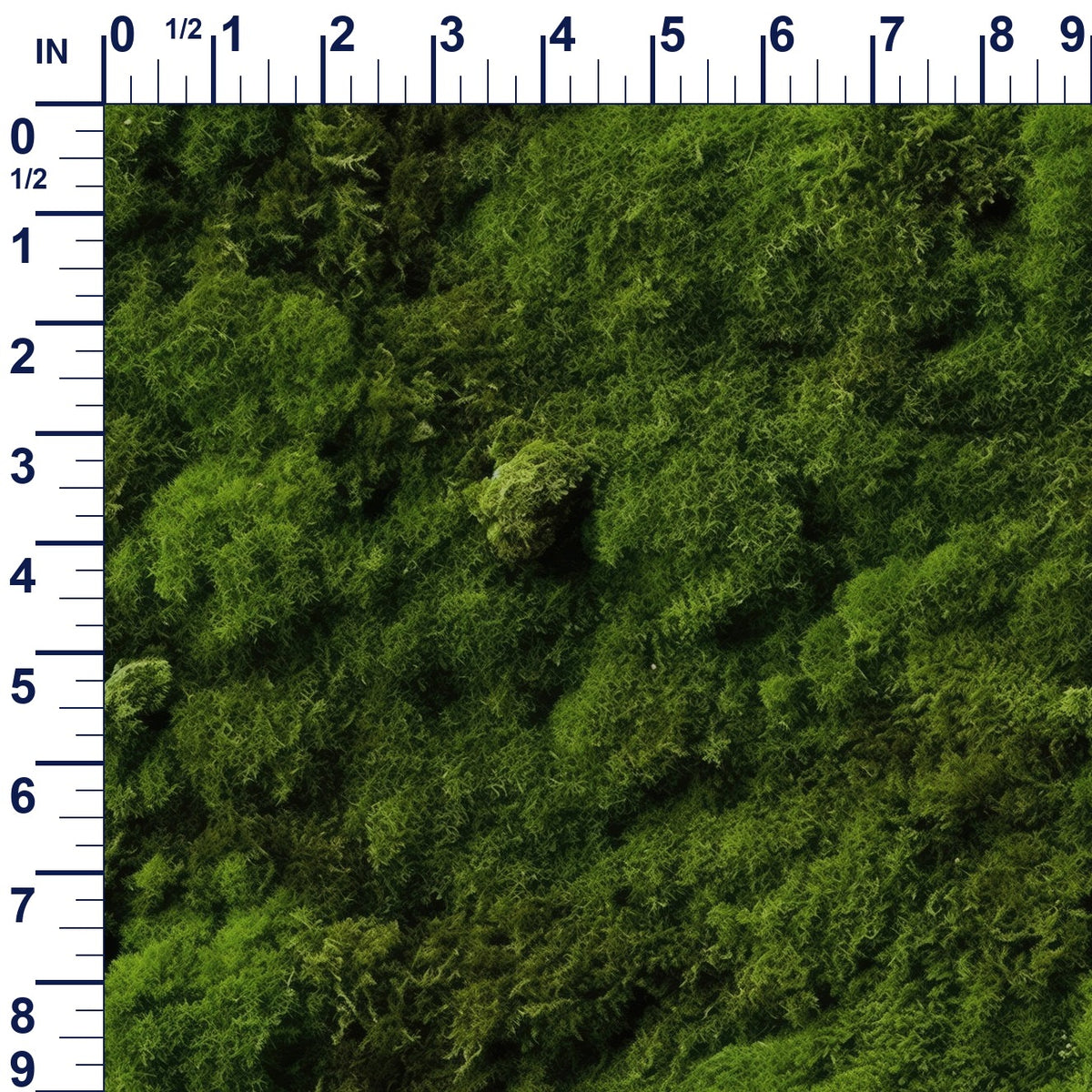 ruler-scale (auto)