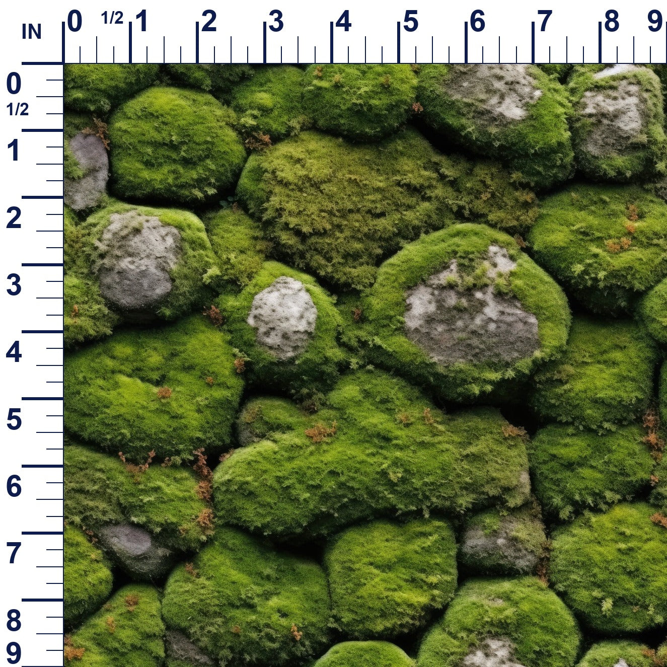 ruler-scale (auto)