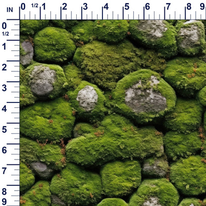 ruler-scale (auto)