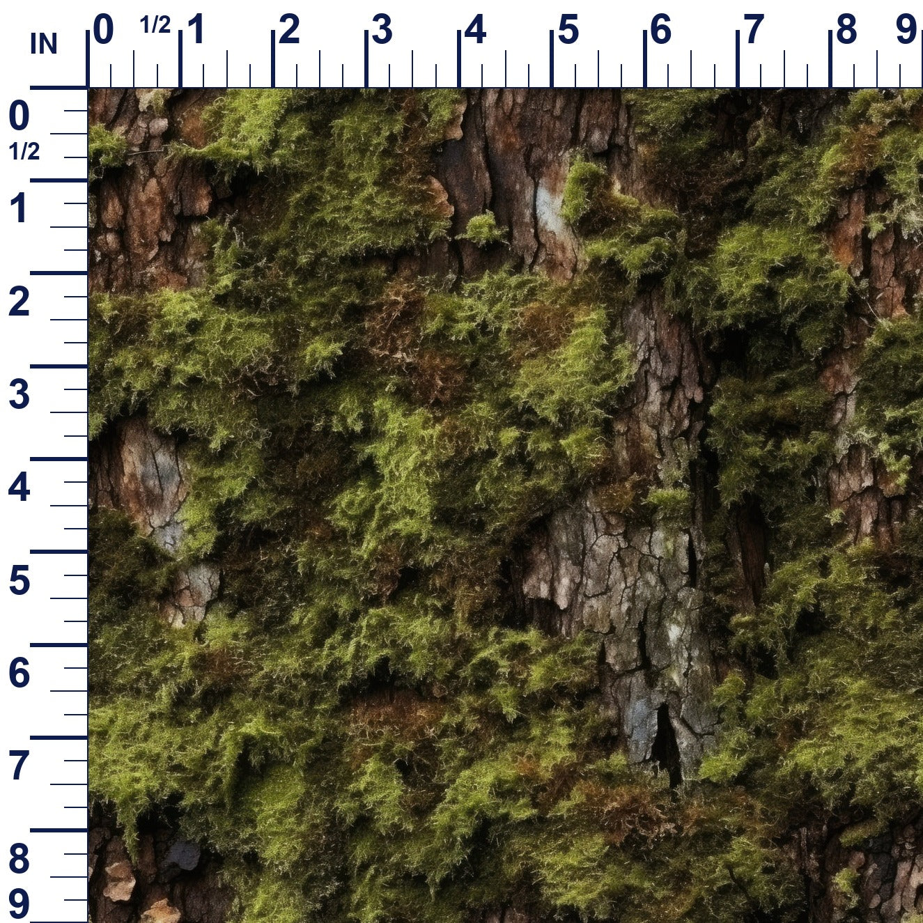 ruler-scale (auto)
