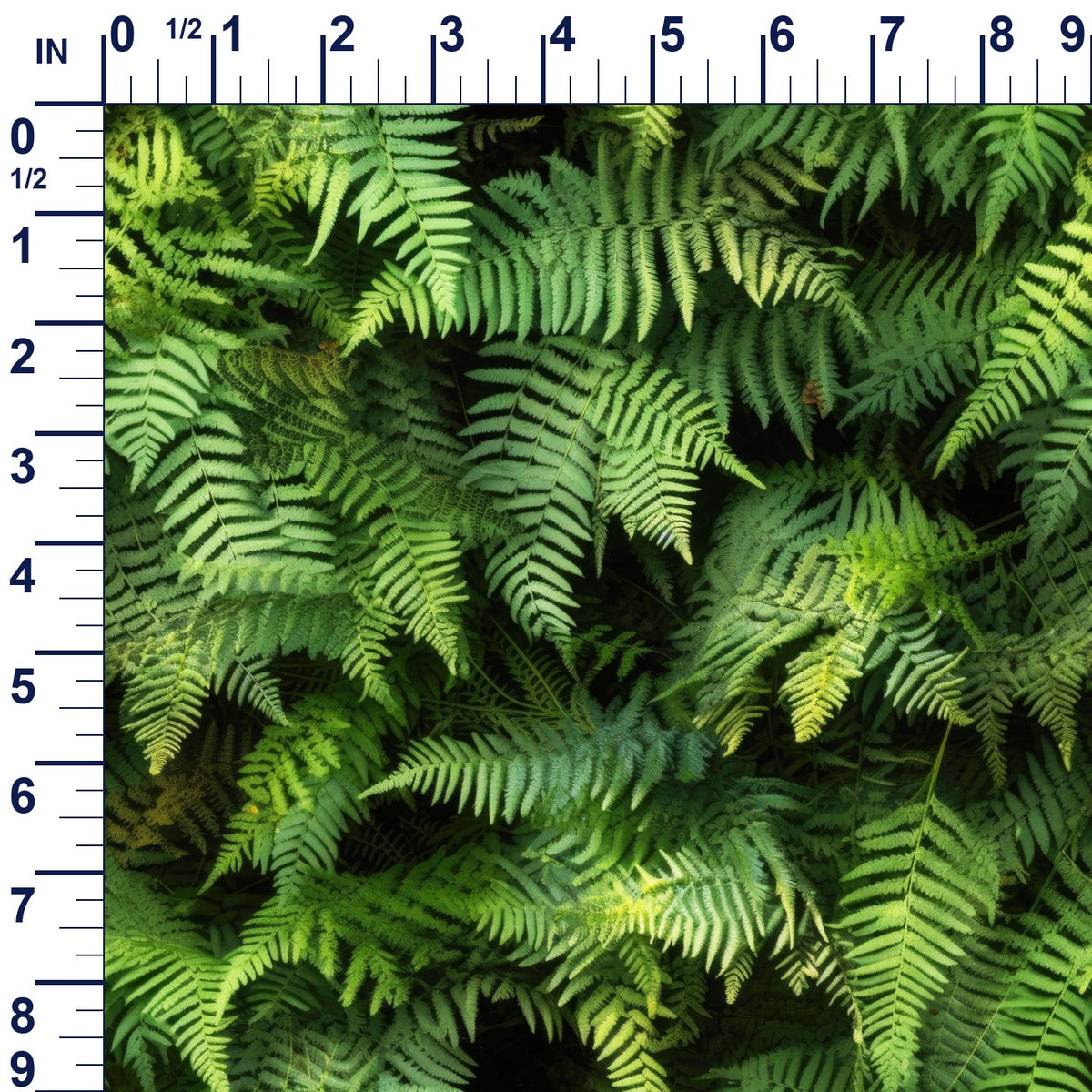 ruler-scale (auto)