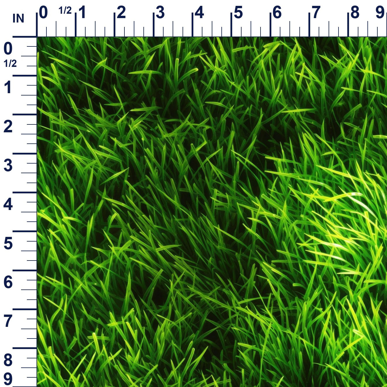 ruler-scale (auto)
