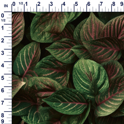 ruler-scale (auto)
