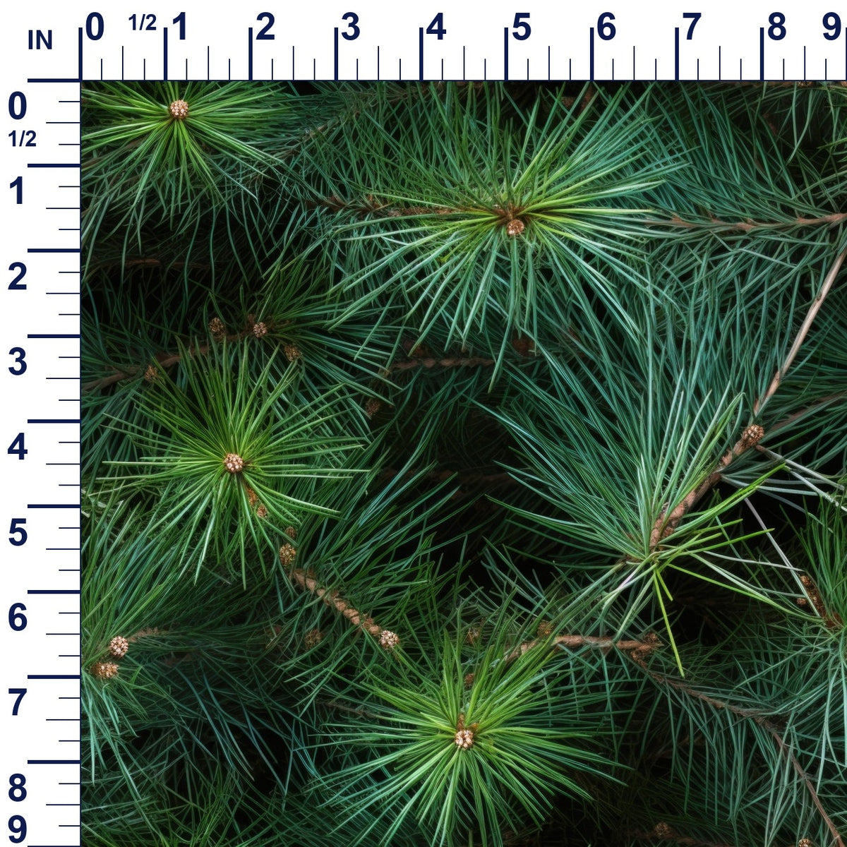 ruler-scale (auto)