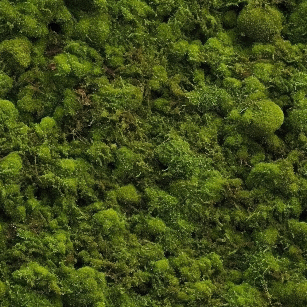 Moss Textures Fat Quarter Bundle