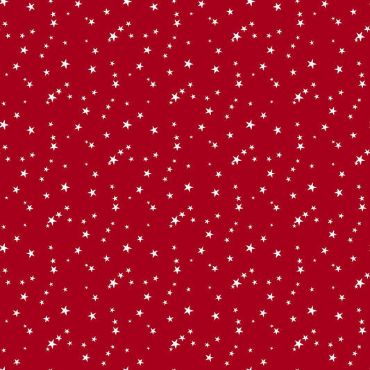 Daily Deal: Country Christmas Pattern 12 Quilting Cotton Fabric - 45" x 1 Yard"