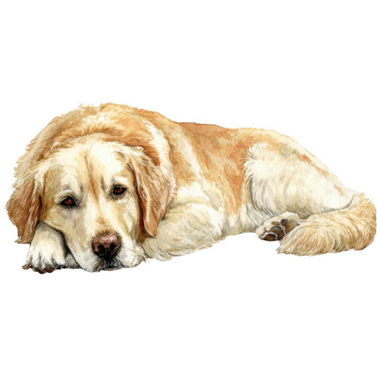 Golden Retriever Fabric Panel 2