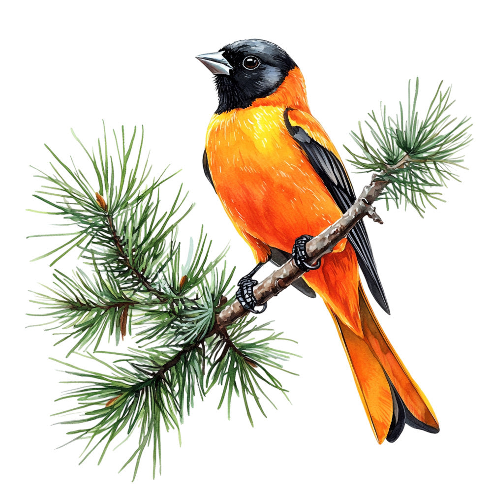 Baltimore Oriole Fabric Panel 17