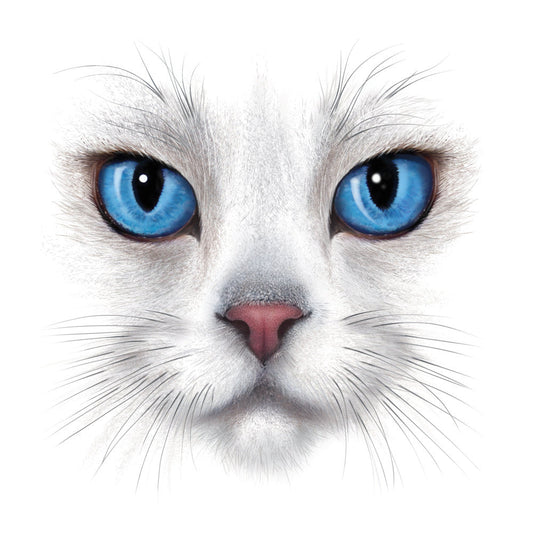 Cat Eyes Fabric Panel 1