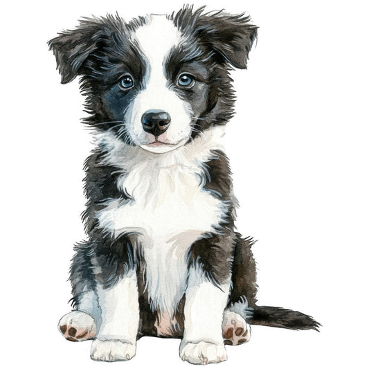 Watercolor Border Collie Fabric Panel 23