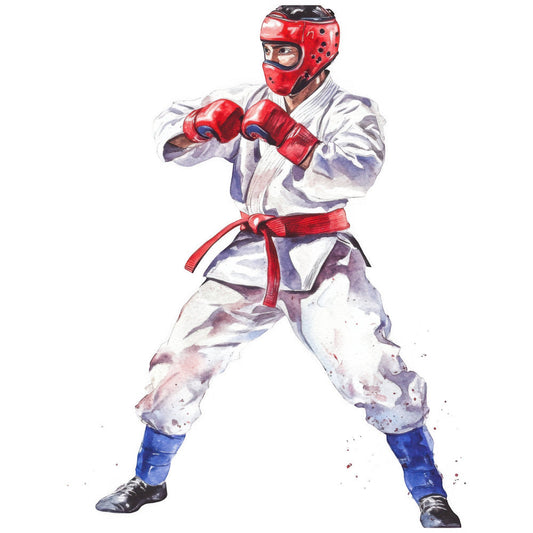 Karate Taekwondo Fabric Panel 13