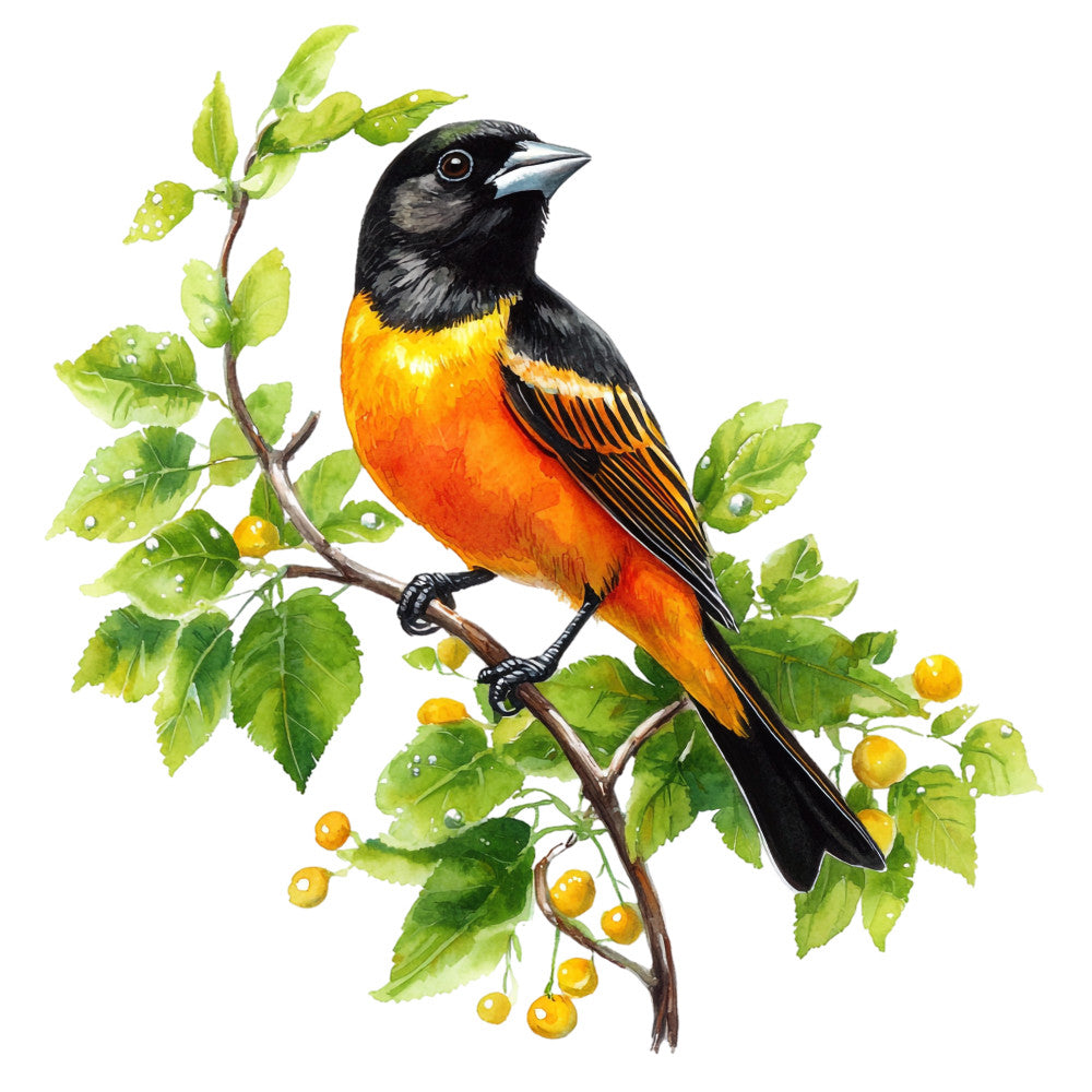 Baltimore Oriole Fabric Panel 11