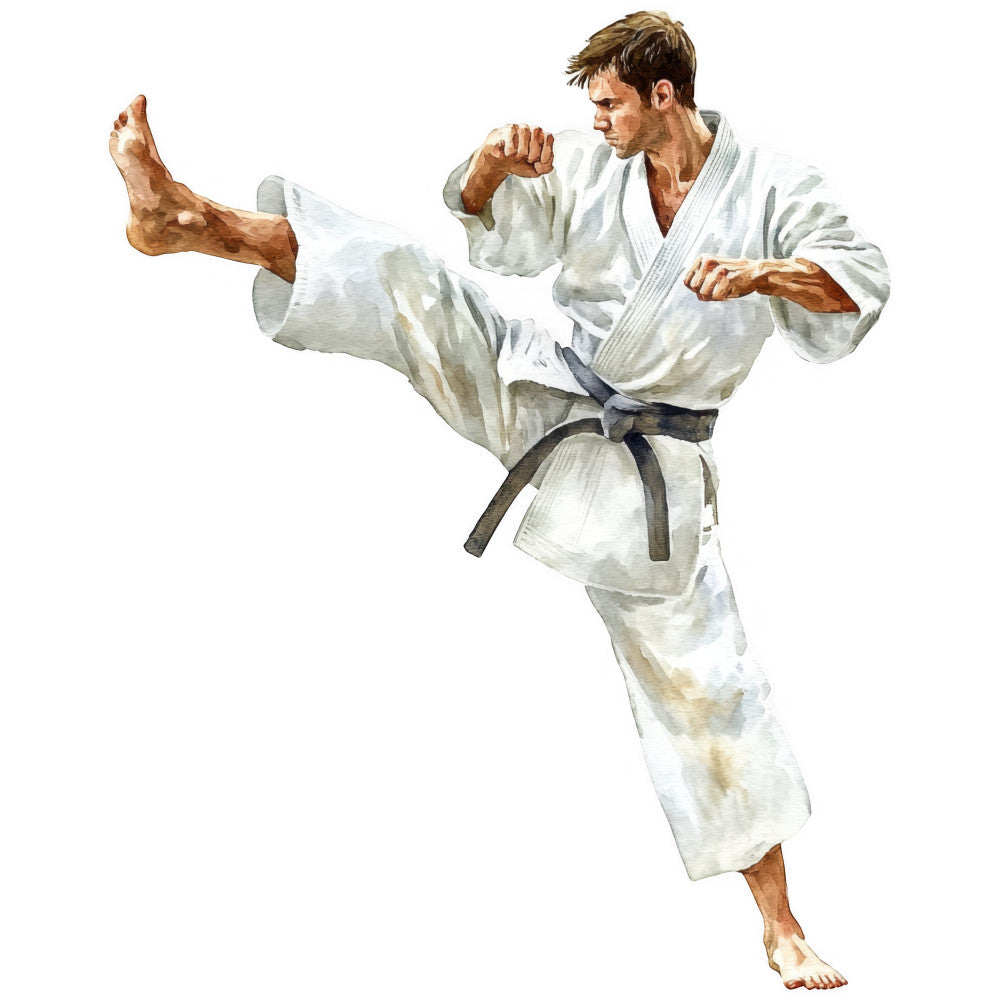 Karate Taekwondo Fabric Panel 12