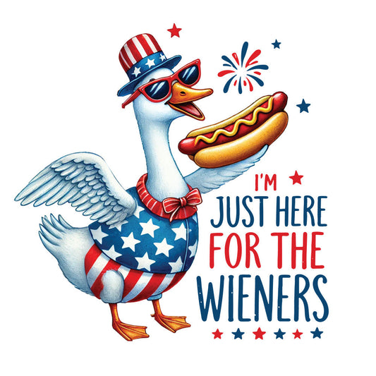 Funny 4th of July Fabric Panel 3