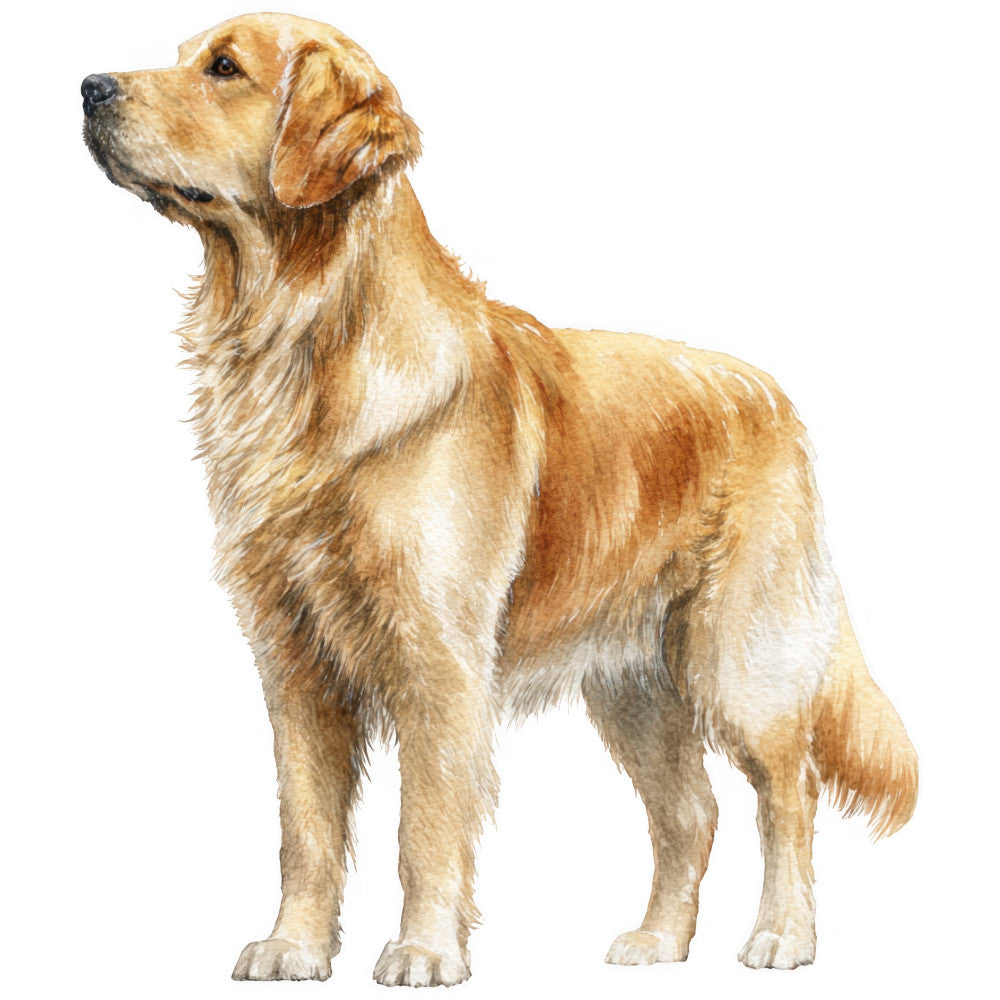 Golden Retriever Fabric Panel 27