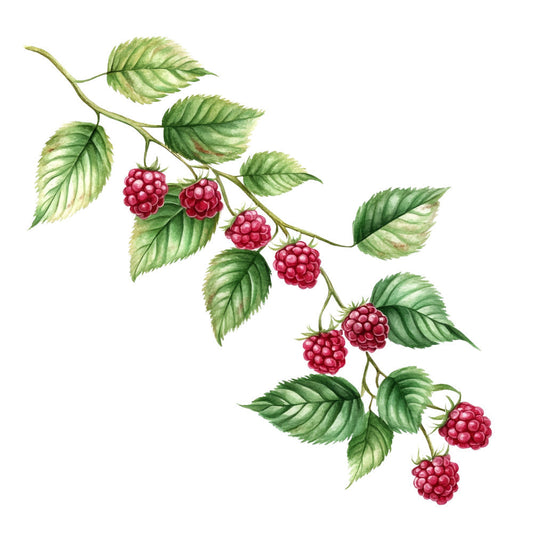 Raspberry Gardens Fabric Panel 6