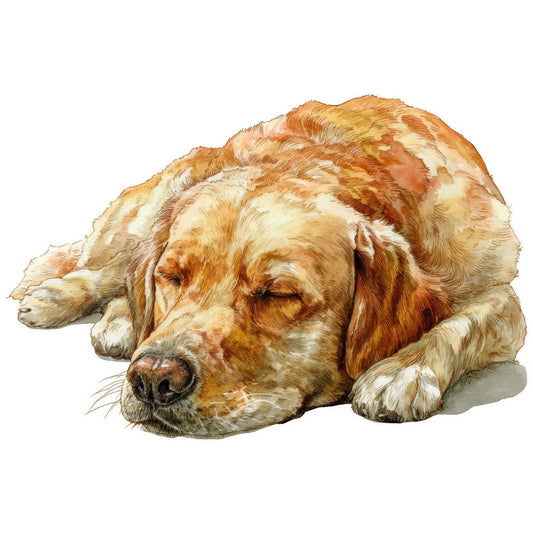 Golden Retriever Fabric Panel 23
