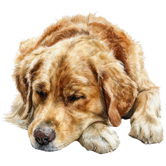 Golden Retriever Fabric Panel 4