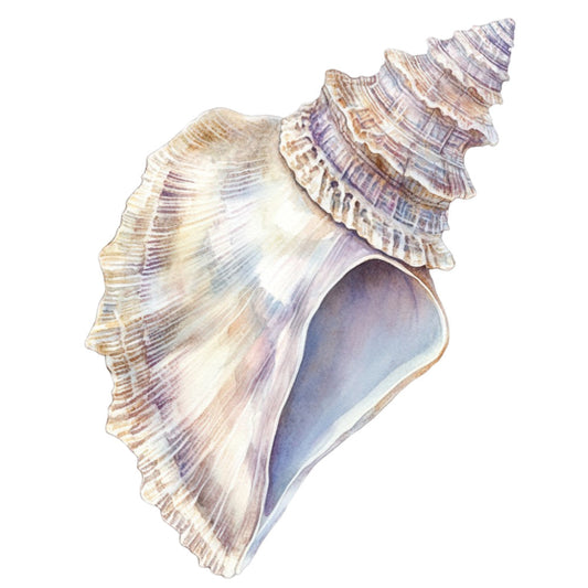 Watercolor Sea Shells Fabric Panel 6