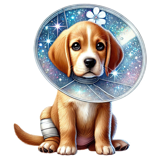 Veterinary Clinic Fabric Panel 21